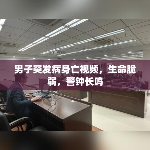 shanshishanzhong 第2页