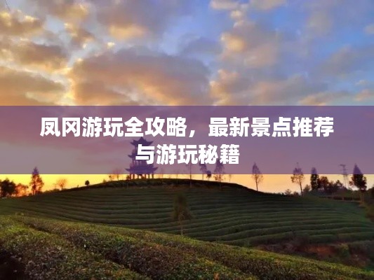 yarenqingzhi 第2页