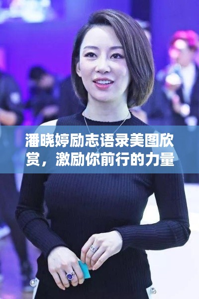 评价 第24页