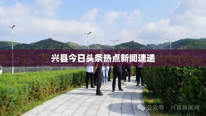对答如流 第2页