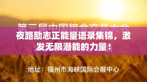 走马观花 第2页