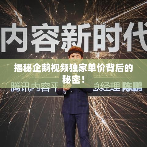 jieshenzihao 第2页