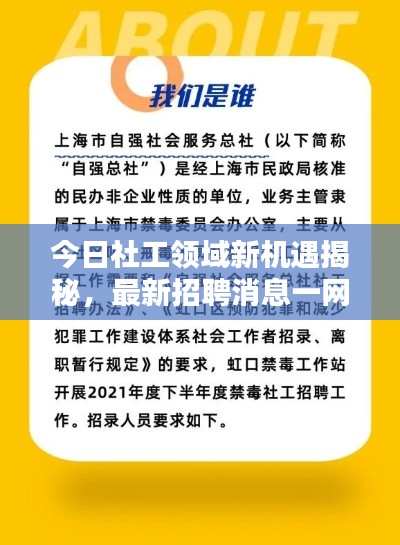 新闻 第18页