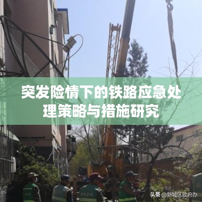 shengruhongzhong 第2页
