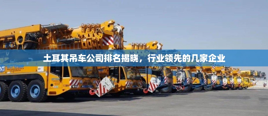 chenmuzhangdan 第2页