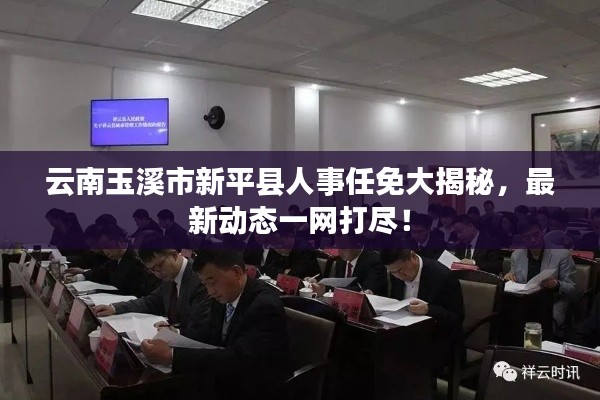 zhanchiyufei 第2页