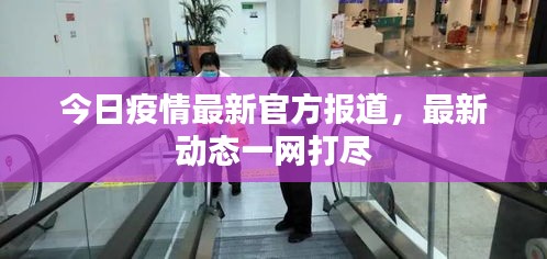 目不转睛 第2页