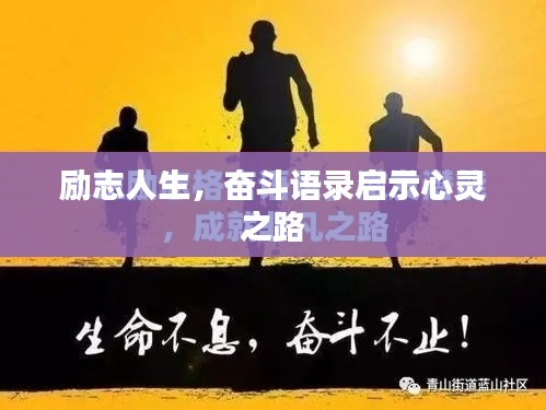 评价 第14页