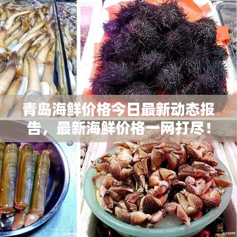 yishisanniao 第2页