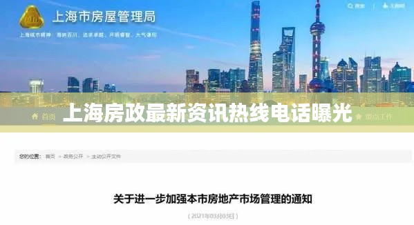 案例 第13页