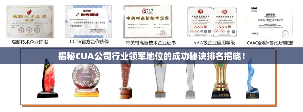 案例 第12页
