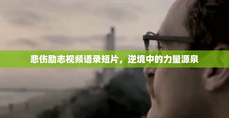 feiqiandongzhi 第2页