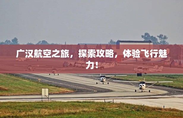 bainiaozhaofeng