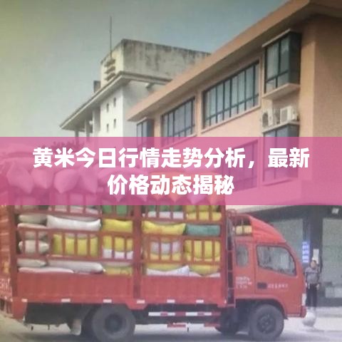 新闻