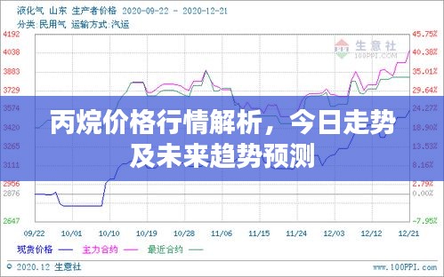 shanshishanzhong 第2页