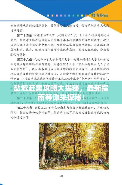 盐城赶集攻略大揭秘，最新指南等你来探秘！