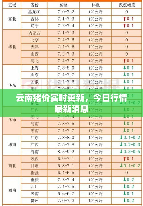 云南猪价实时更新，今日行情最新消息